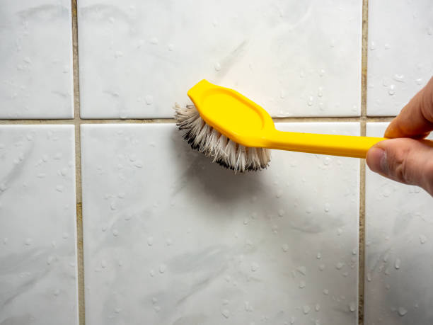 Best Water Damage Restoration  in Randallstown, MD