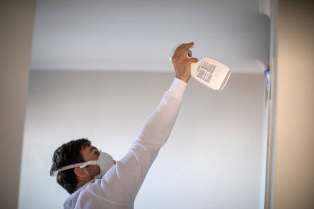 Best Mold Inspection  in Randallstown, MD