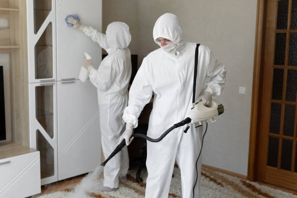 Best Toxic Mold Removal  in Randallstown, MD