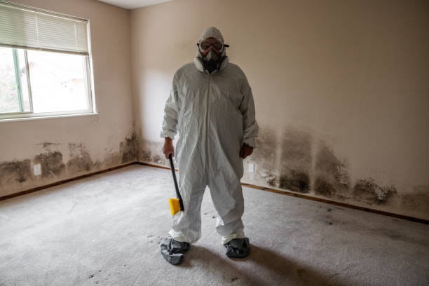 Certified Mold Removal in Randallstown, MD